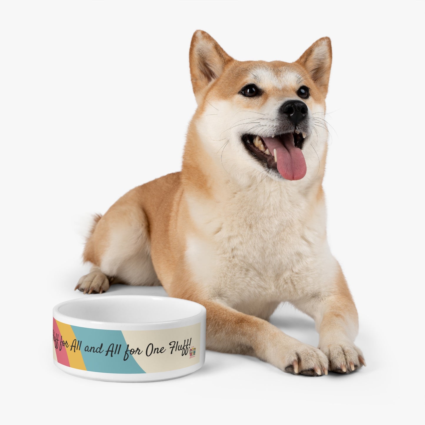 Groovy Dog Bowl